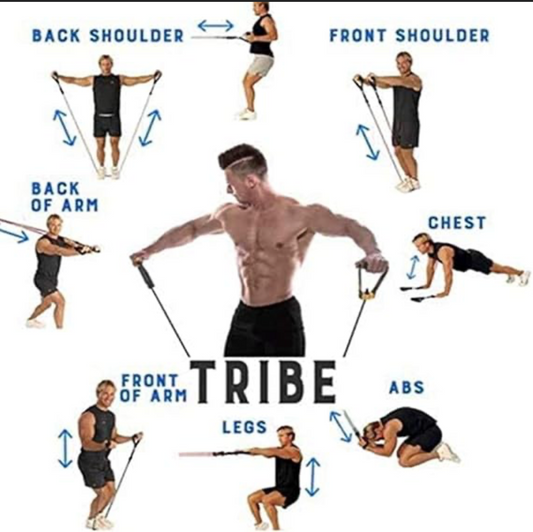 11 Pcs Resistance Bands Set for Workout – Power Exercise Bands for Strength Training, Yoga, Home Gym & Fitness Equipment for Men & Women
